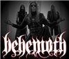   Behemoth