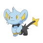   Shinx